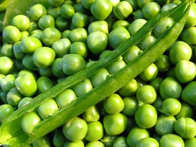 Close up of Shelled Shell Peas