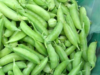 Pile of snap pea pods 