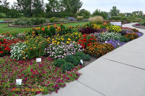 Garden beds featuring plants that were 美国所有的选择 winners at the NDSU Horticulture 研究 & 示范花园 