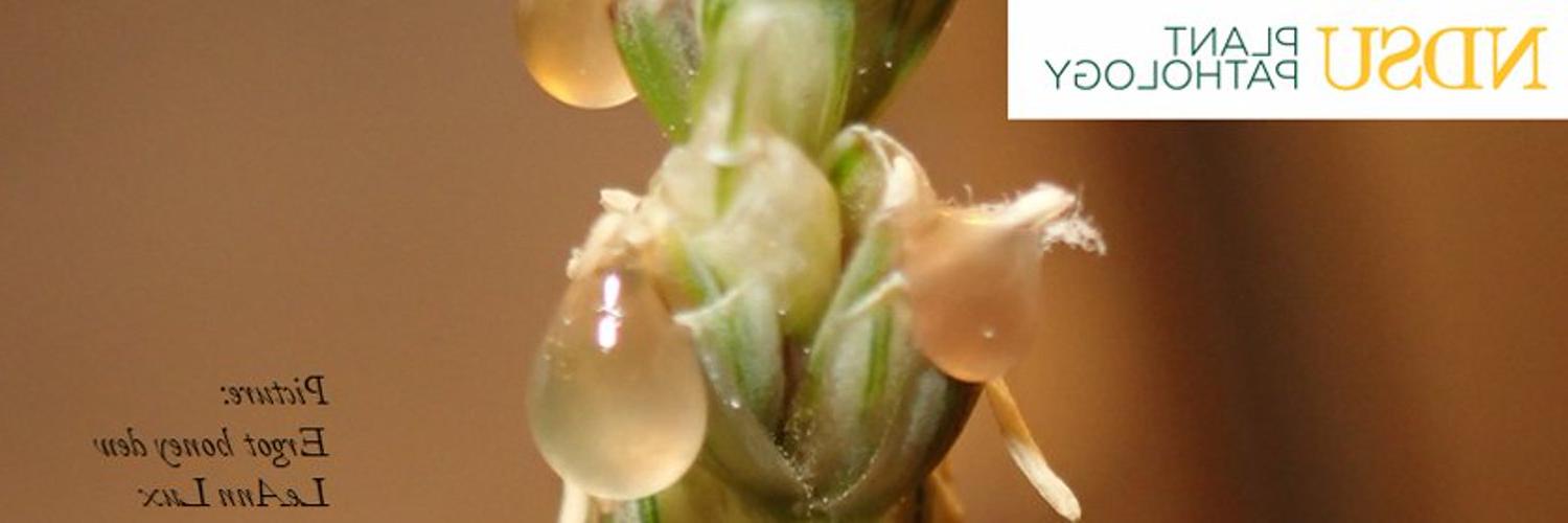 Plant Pathology Header