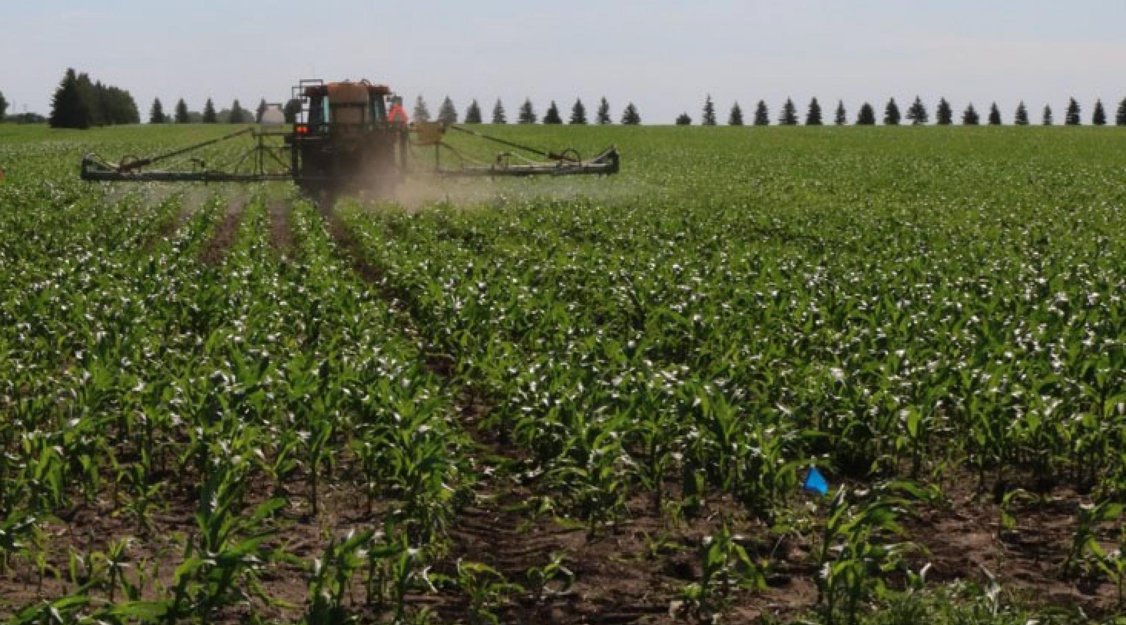 tractor spraying herbicide in a field