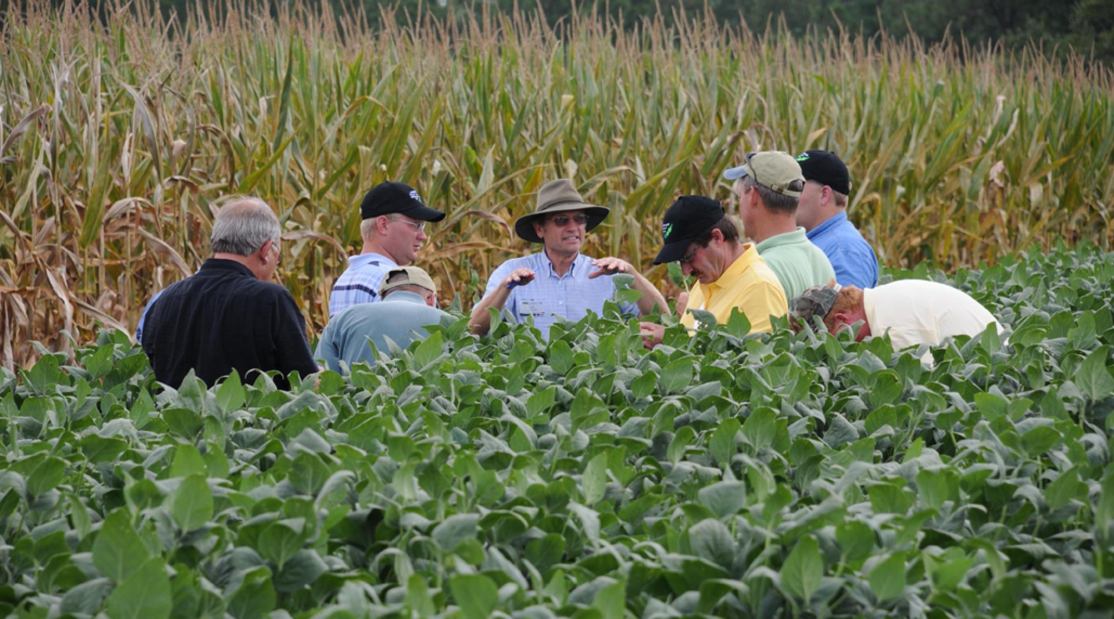 group of men scouting in a field