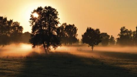 rural landscape at dusk 