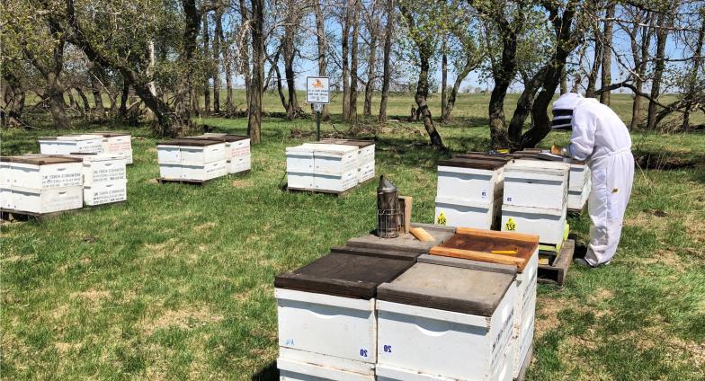 Bee keeper with hives