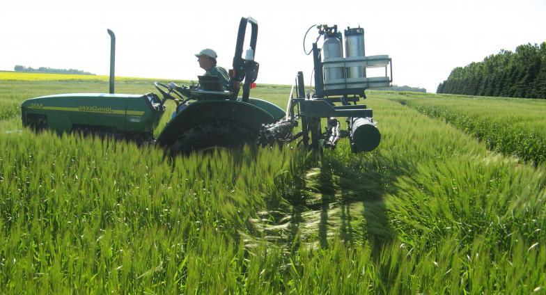 small tractor with sprayer attachment in field of wheat