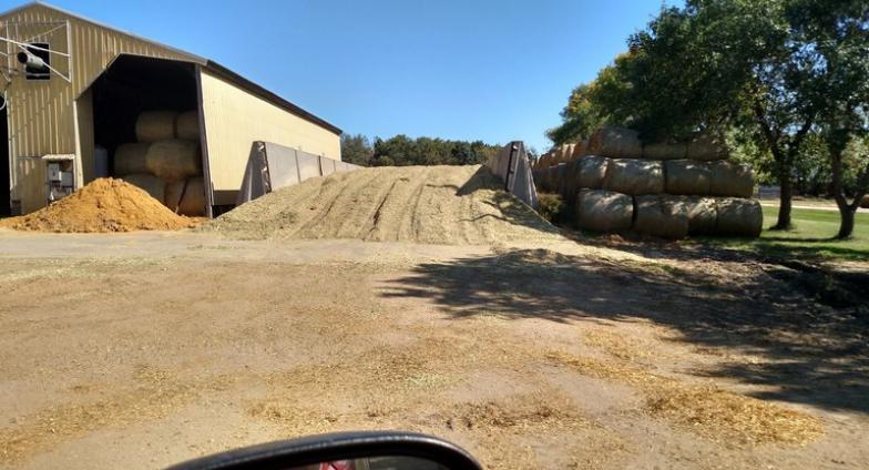 在一座黄色的金属建筑旁，有一大堆青贮玉米. A stack of round hay bales and a line of large trees are visible on the other side of the pile. 