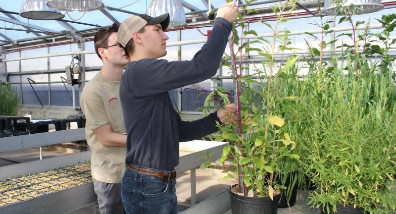 students in greenhouse