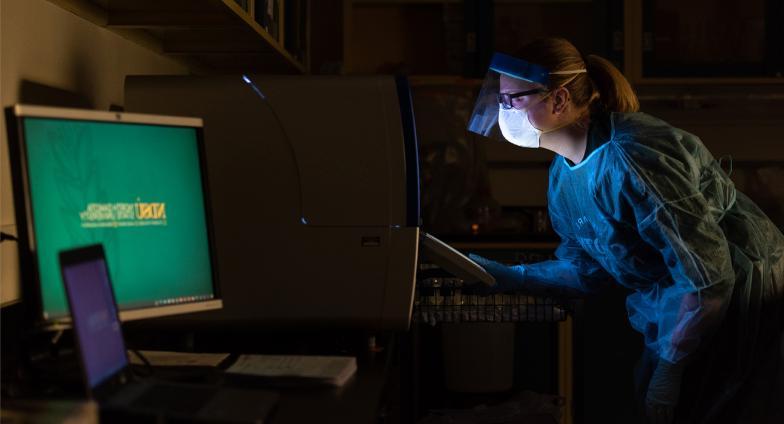 Person working in a microbiology lab