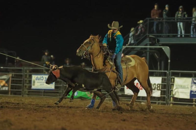 Man roping a calf in a rodeo arena on horseback