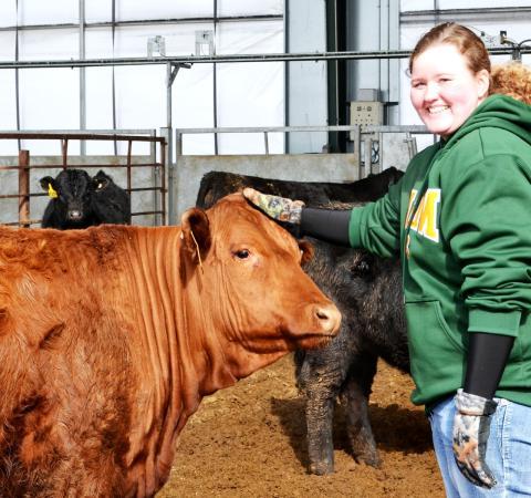 student posing with red angus cow in a pena